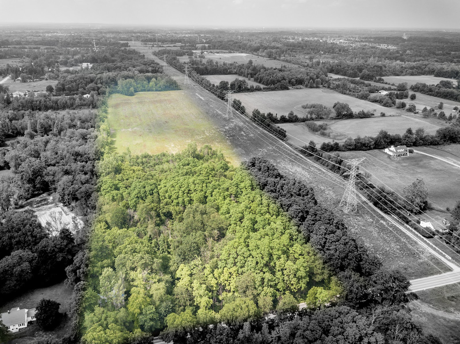 Brandt Real Estate in Northville