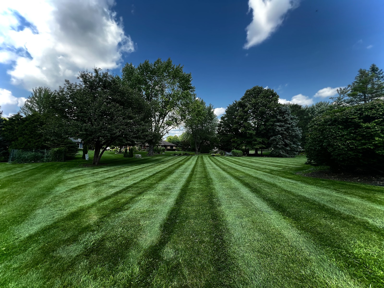 Mason Property Management in Northville
