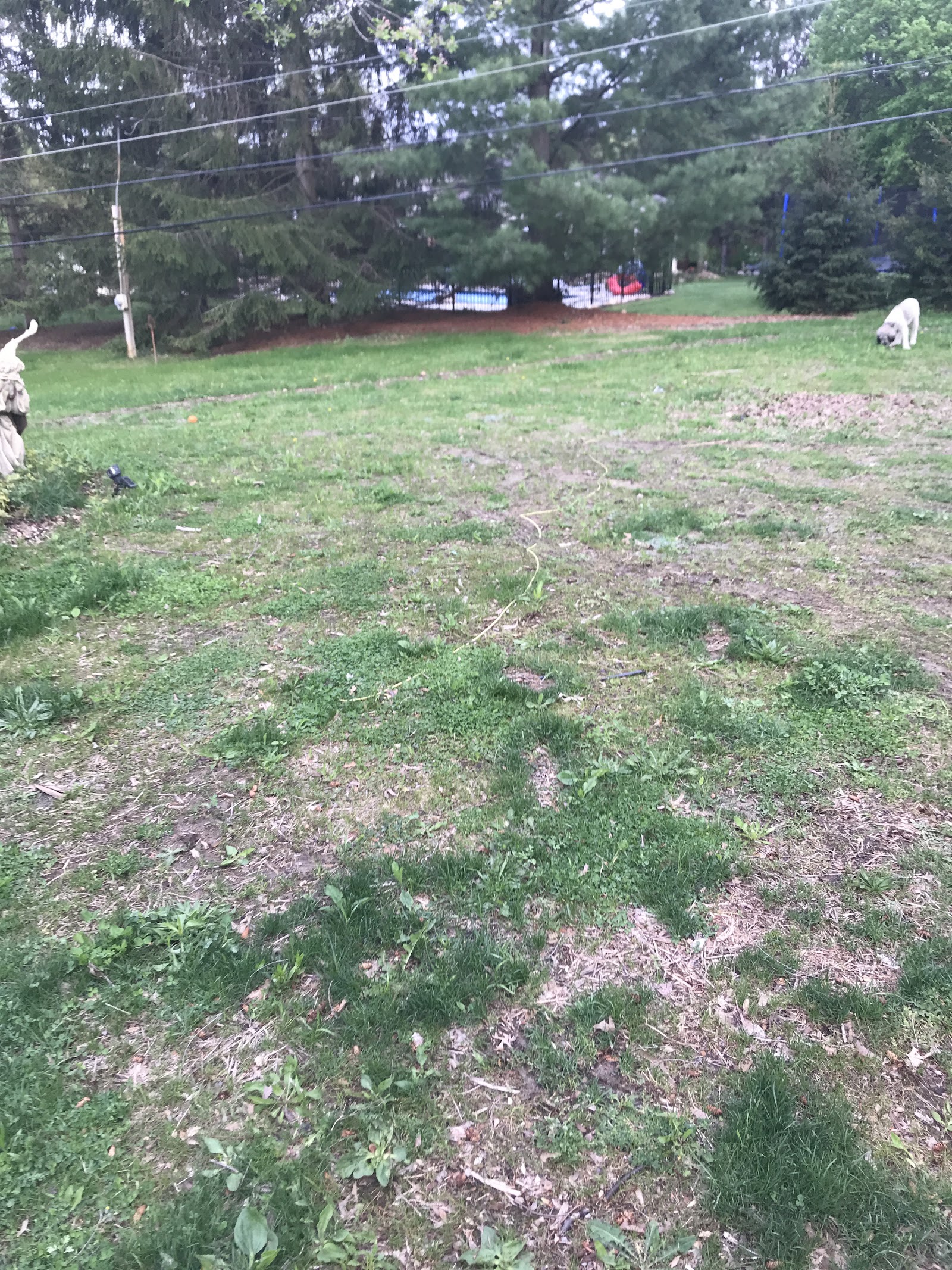 Tru-Cut Landscaping — photo